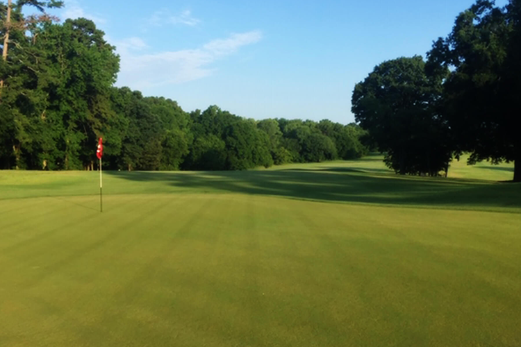 view of golf course green with flag and trees